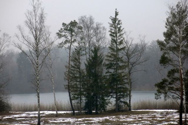 augen06