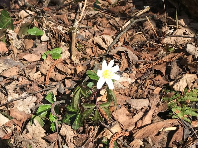 blog - 1 (2)