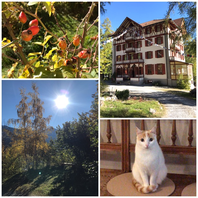 Newsletter+Nov.+21+-+1