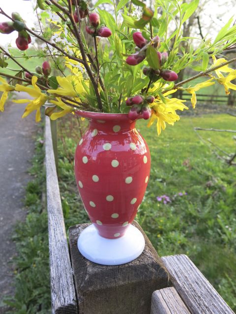 Tüpflivase1